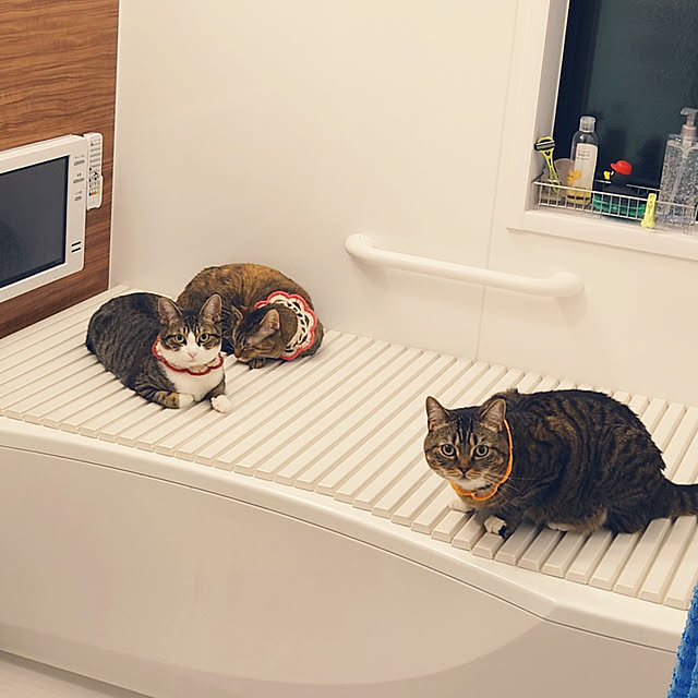 バス/トイレ/お風呂のフタ/お風呂にテレビ/目隠しルーバー/猫のいる暮らし...などのインテリア実例 - 2022-03-18 02:19:49