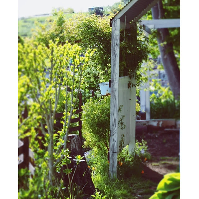 yukiさんの実例写真