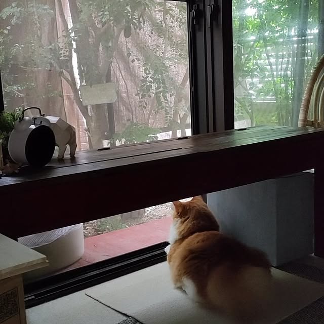 mori_6_12さんの実例写真