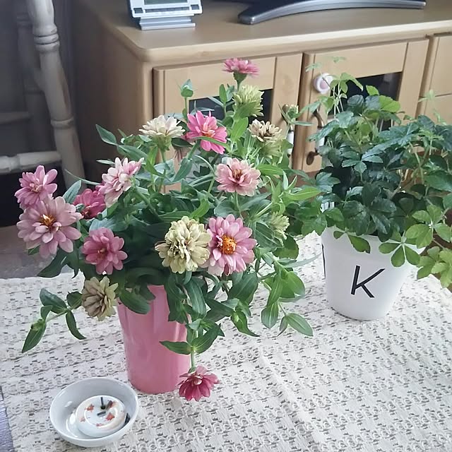 naopyiさんの実例写真