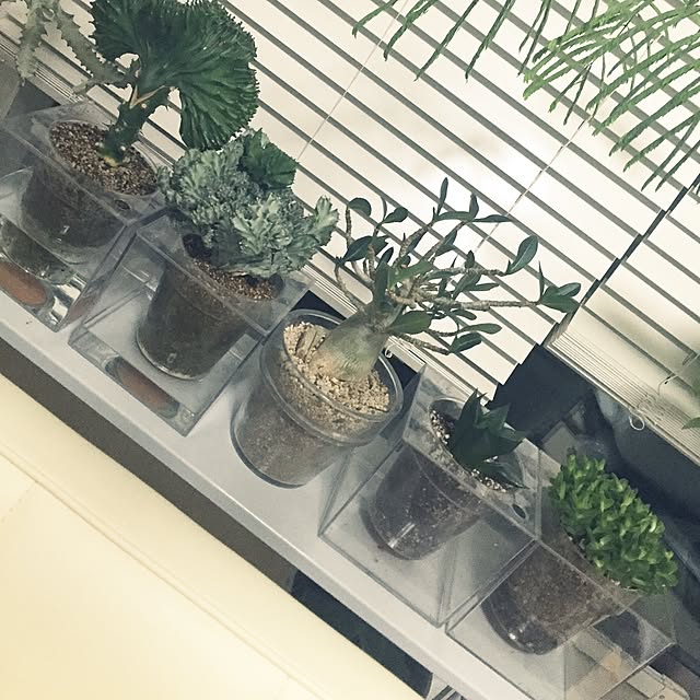 abetomooooooさんの実例写真