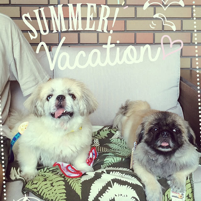 Kammiさんの実例写真