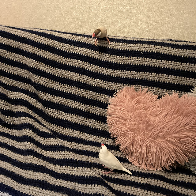 u-さんの実例写真