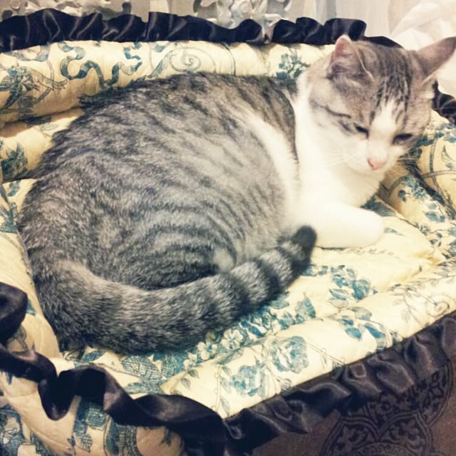 emmyyさんの実例写真