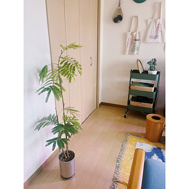 w_end_0625さんの実例写真