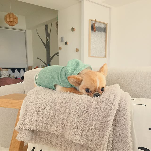 haruhinaさんの実例写真