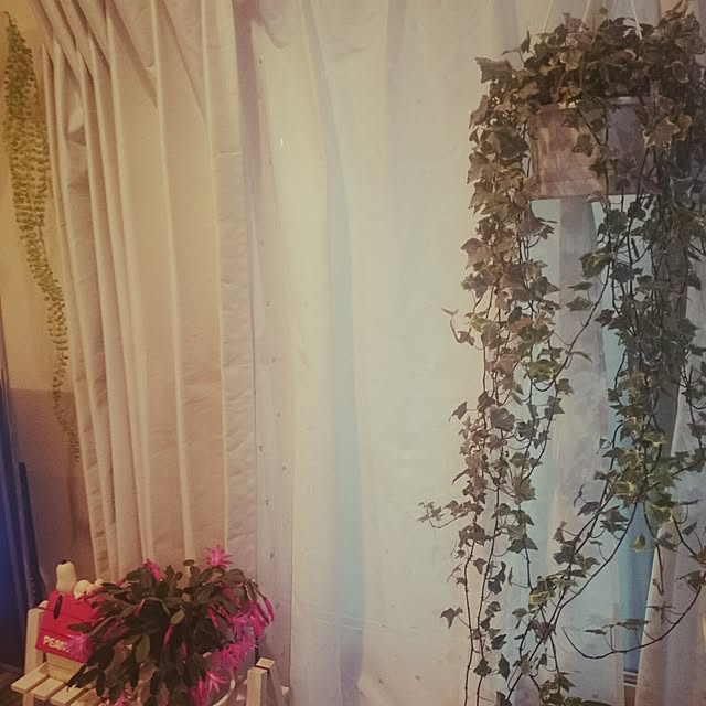rinmarorinさんの実例写真