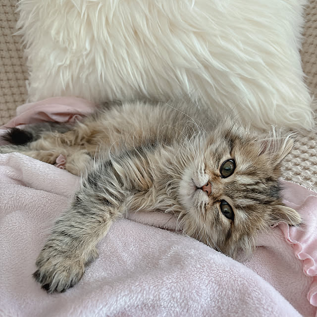 miyu39さんの実例写真
