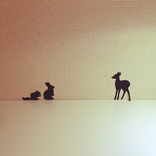 hirosoraさんの実例写真