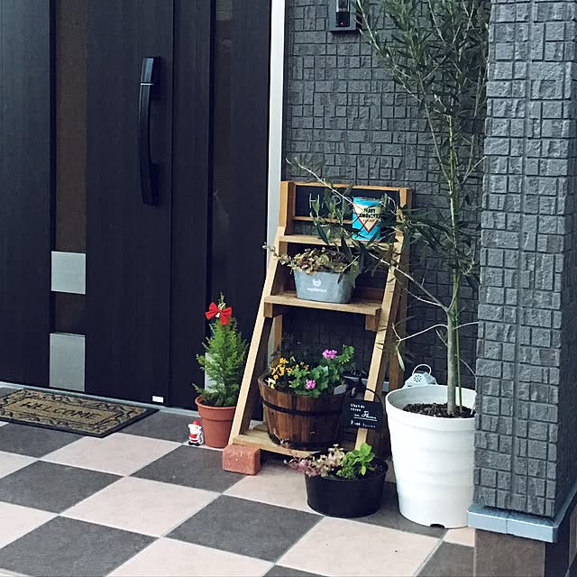 玄関/入り口/多肉植物/観葉植物/100均のインテリア実例 - 2016-11-22 17:25:05