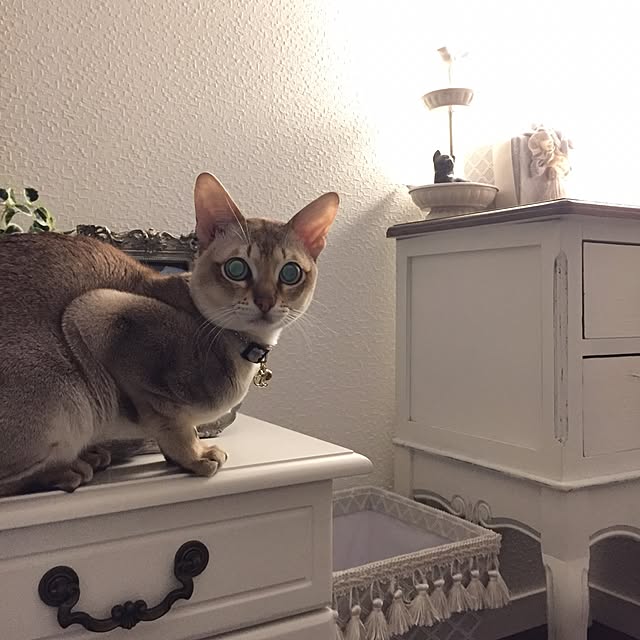 a-mkさんの実例写真