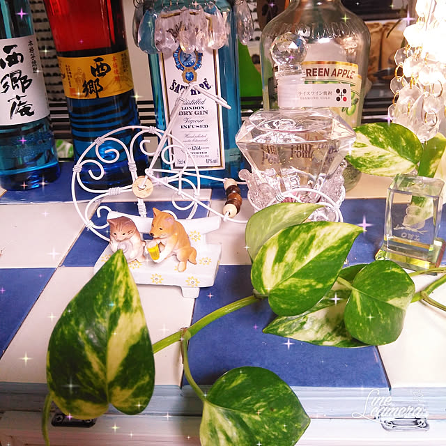 posauruさんの実例写真