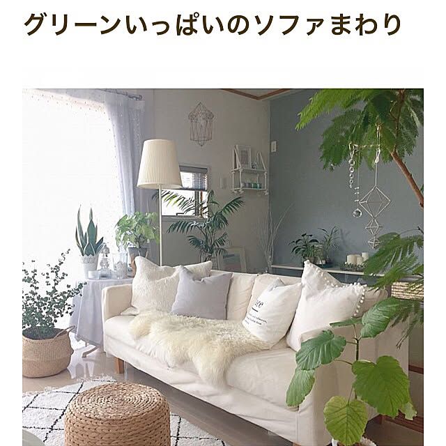 Rさんの実例写真