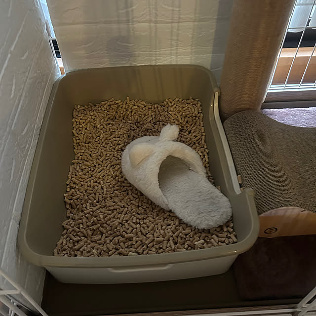 punさんの部屋