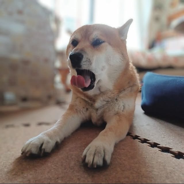nanaさんの部屋