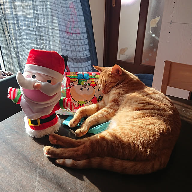 実例写真