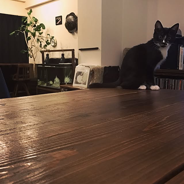 ____Mukさんの実例写真