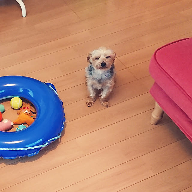 321さんの実例写真