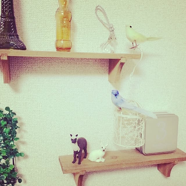mahalloさんの実例写真
