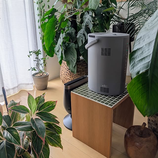 ayamameさんの部屋