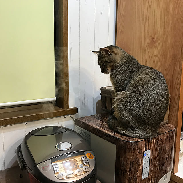 pepeさんの実例写真