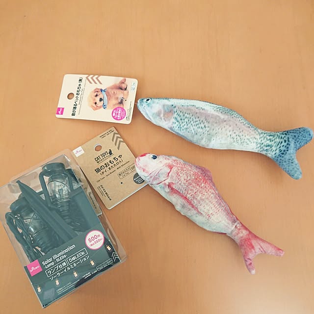 urchinさんの部屋