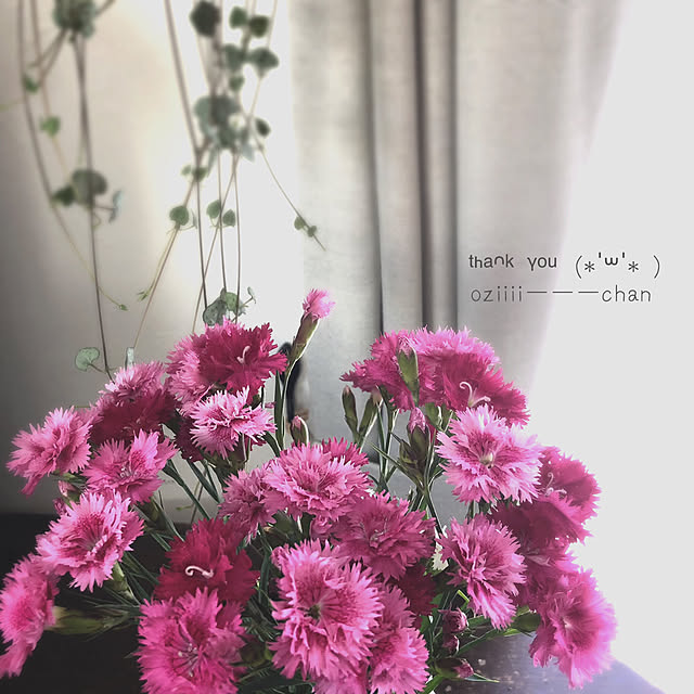 ponponHOUSEさんの実例写真