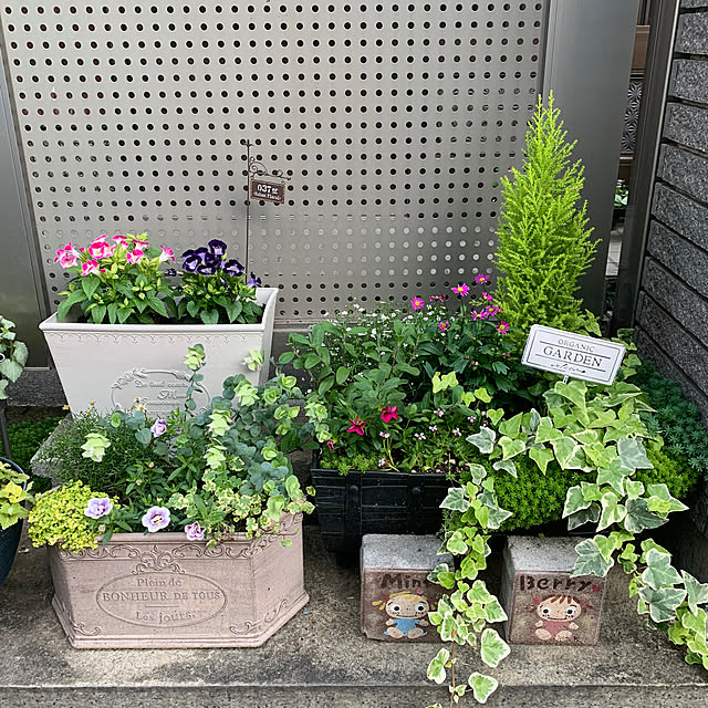 maayaさんの部屋