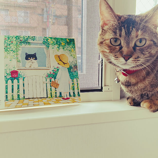 minminさんの部屋