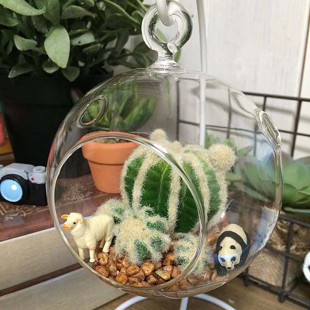 natulove0418さんの実例写真
