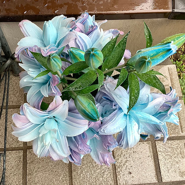 haruminさんの部屋
