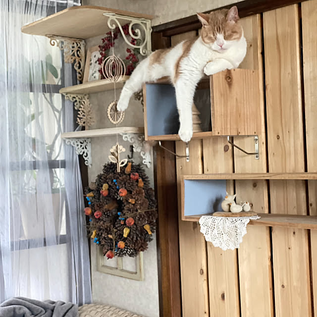 mintteaさんの部屋