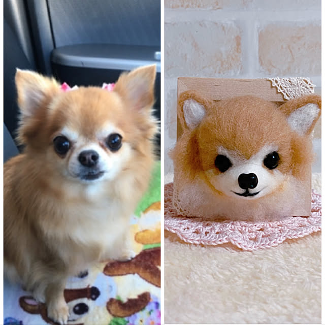 anzさんの実例写真