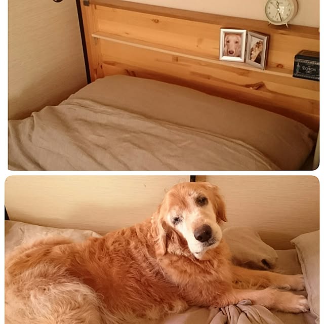 JUNMARIKAさんの実例写真