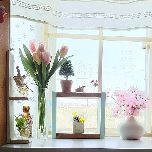 naopyiさんの実例写真