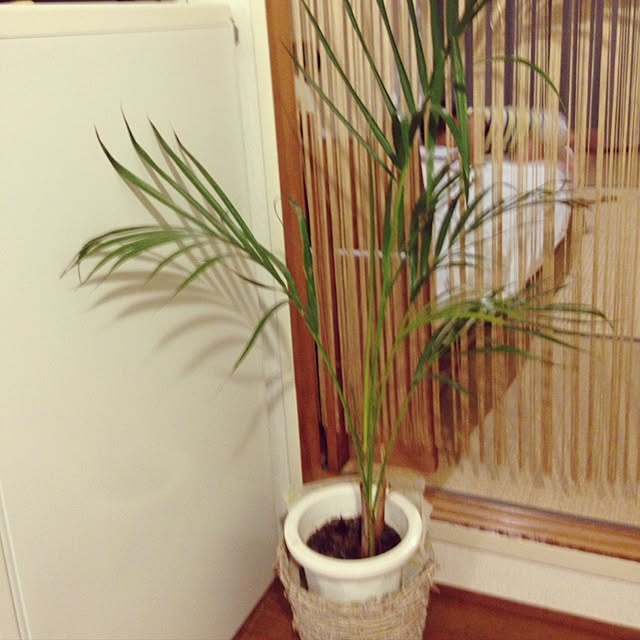 hannaさんの実例写真