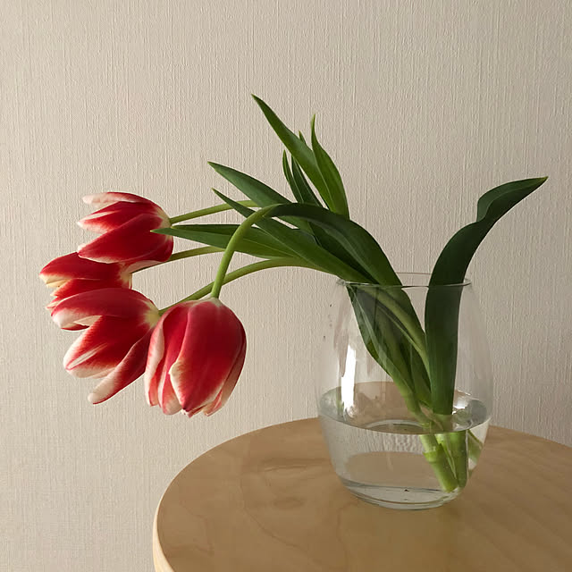 Chokoさんの実例写真