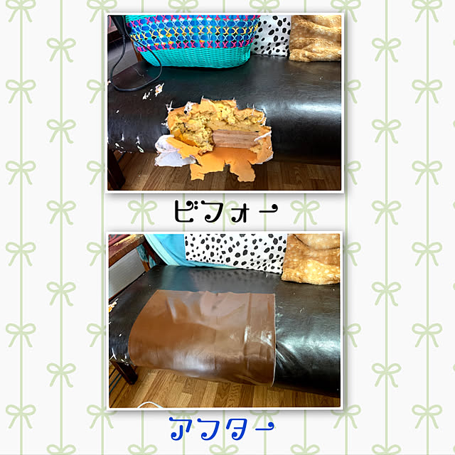 SIROさんの実例写真