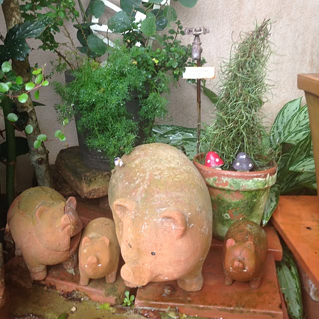 実例写真