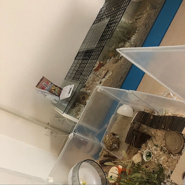 wtlnoraさんの実例写真