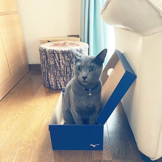kyonさんの実例写真
