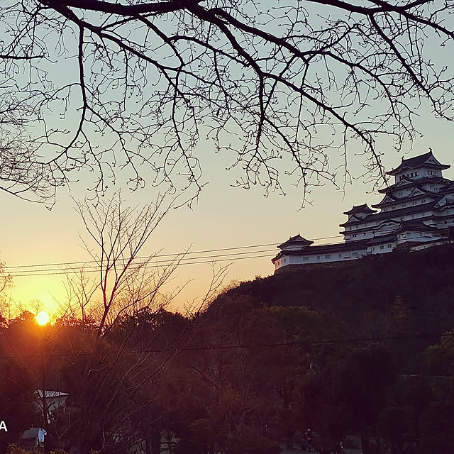 実例写真