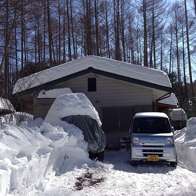 jnjnforesterさんの実例写真