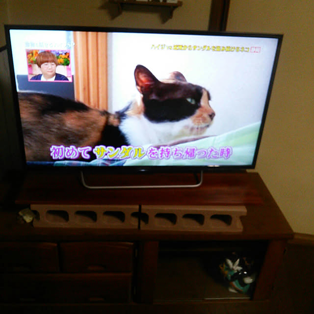 Tomopさんの実例写真