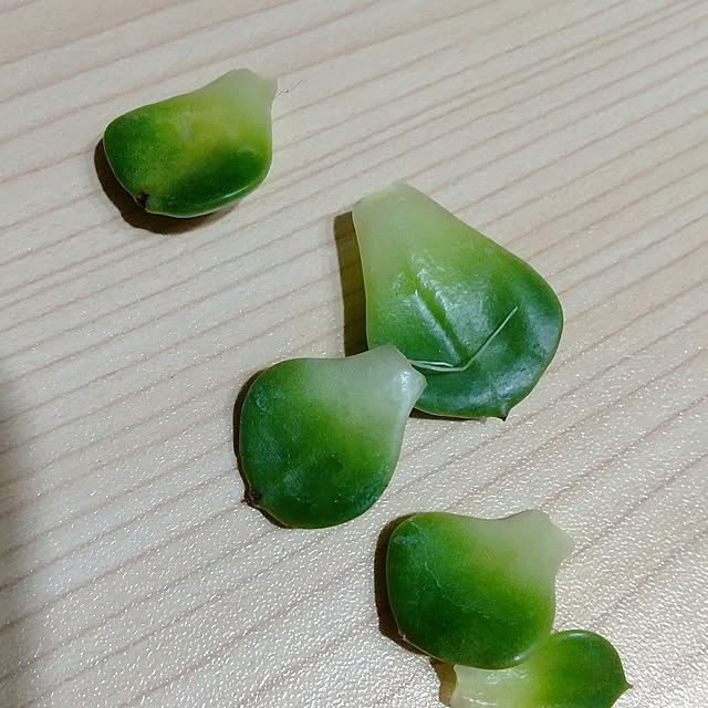 meiさんの部屋