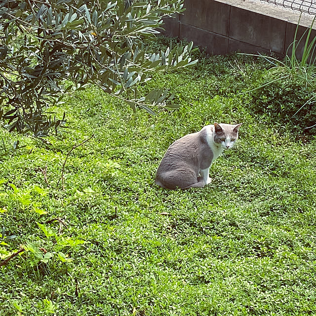 taakoさんの実例写真