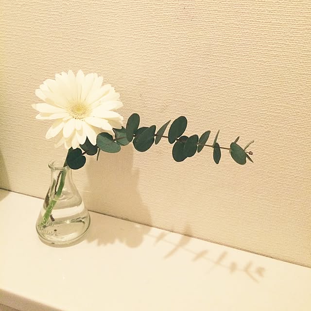 Rieさんの実例写真