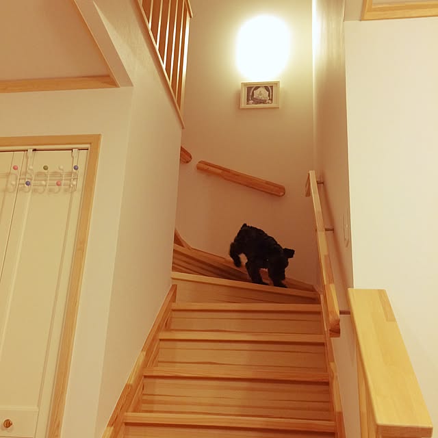 natchingさんの実例写真