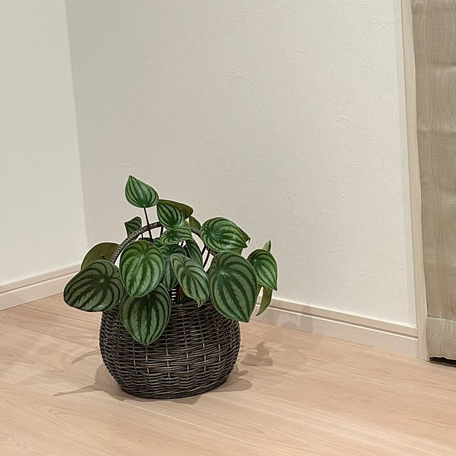 rumimamaさんの部屋