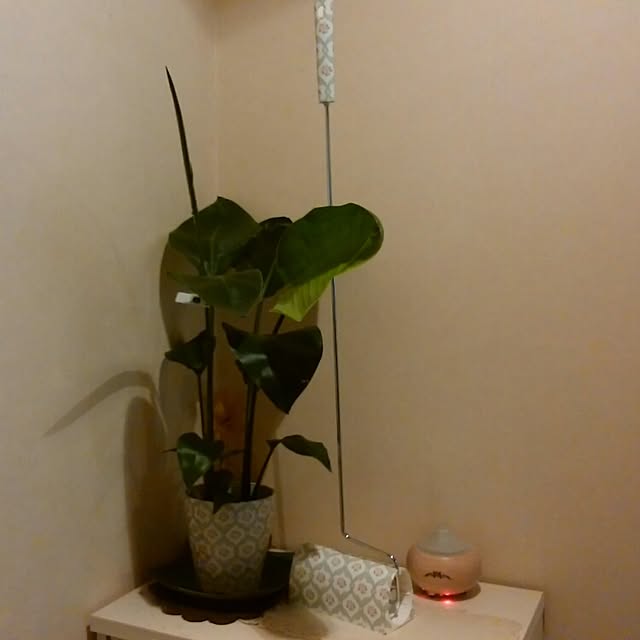 pimoさんの実例写真
